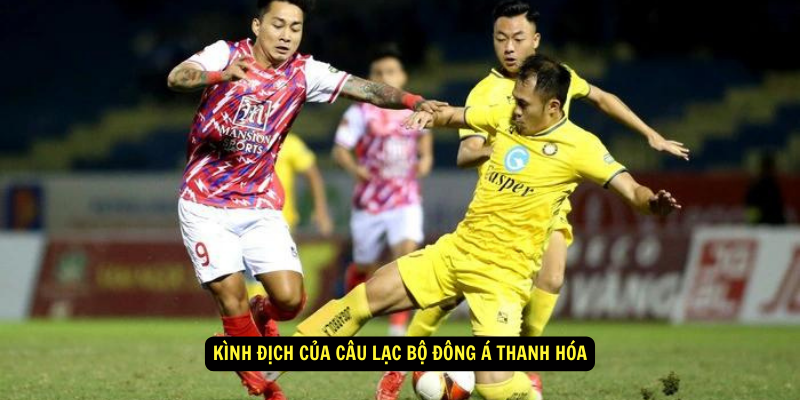 Kinh Dich Cua Cau Lac Bo Dong A Thanh Hoa