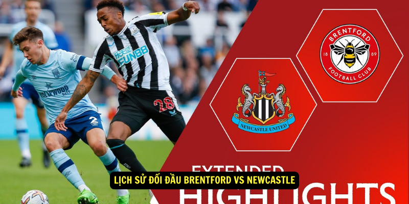 Lịch sử đối đầu Brentford vs Newcastle