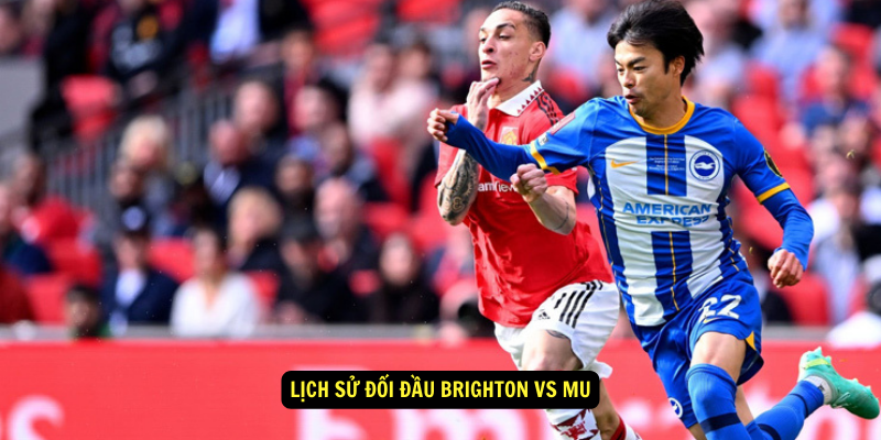 Lịch sử đối đầu Brighton vs MU