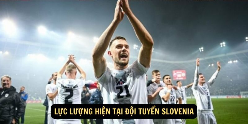 Lực lượng hiện tại Đội tuyển Slovenia